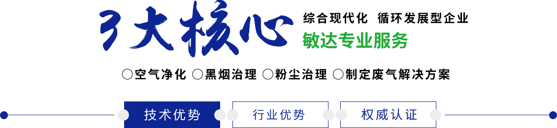 雏田CB敏达环保科技（嘉兴）有限公司